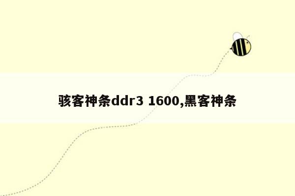 骇客神条ddr3 1600,黑客神条