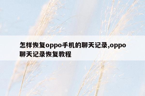 怎样恢复oppo手机的聊天记录,oppo聊天记录恢复教程