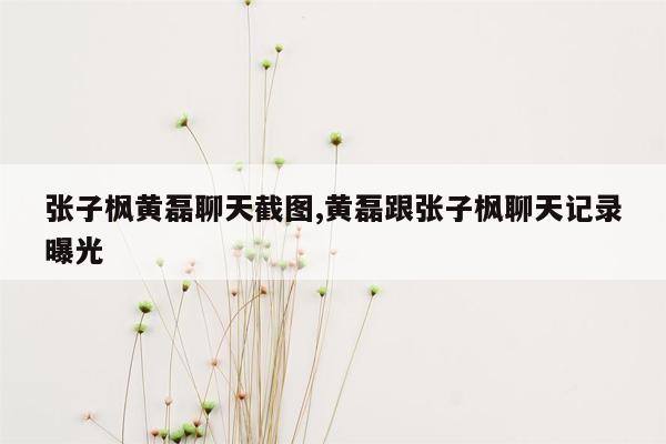 张子枫黄磊聊天截图,黄磊跟张子枫聊天记录曝光