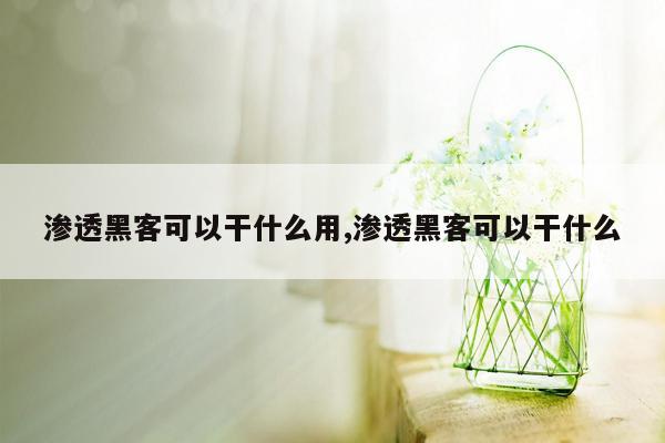 渗透黑客可以干什么用,渗透黑客可以干什么