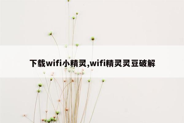 下载wifi小精灵,wifi精灵灵豆破解