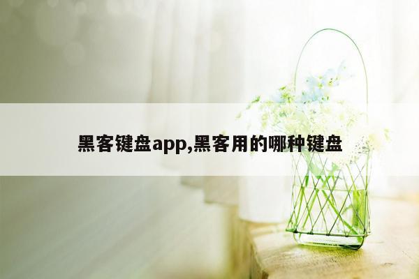 黑客键盘app,黑客用的哪种键盘