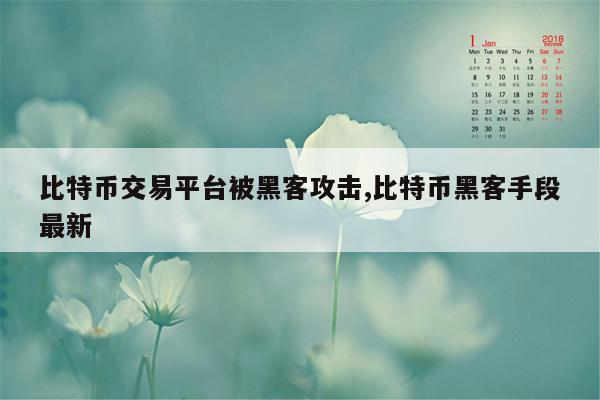 比特币交易平台被黑客攻击,比特币黑客手段最新