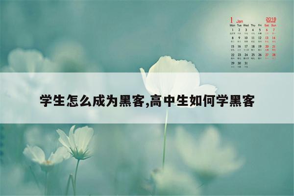 学生怎么成为黑客,高中生如何学黑客