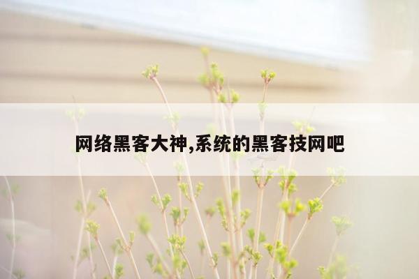 网络黑客大神,系统的黑客技网吧