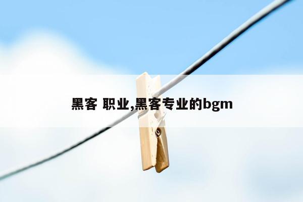 黑客 职业,黑客专业的bgm