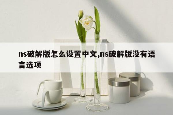 ns破解版怎么设置中文,ns破解版没有语言选项