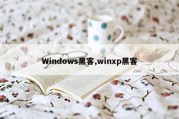 Windows黑客,winxp黑客