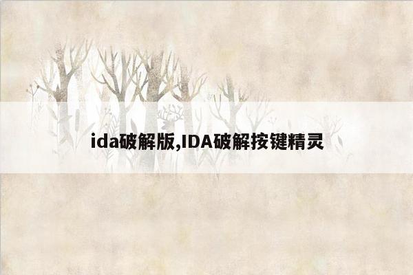 ida破解版,IDA破解按键精灵