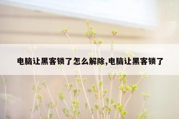 电脑让黑客锁了怎么解除,电脑让黑客锁了