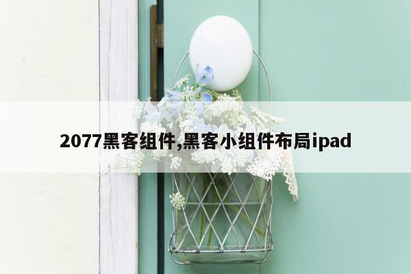 2077黑客组件,黑客小组件布局ipad