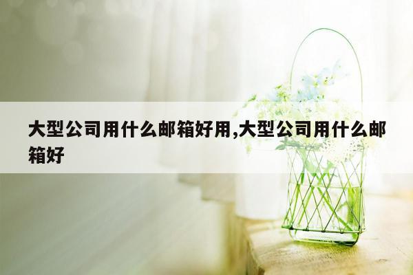 大型公司用什么邮箱好用,大型公司用什么邮箱好