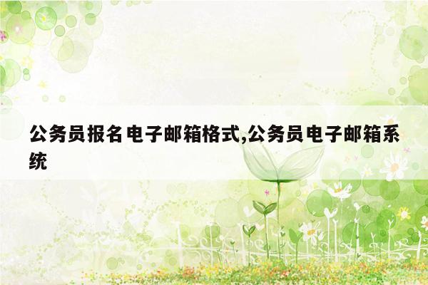 公务员报名电子邮箱格式,公务员电子邮箱系统