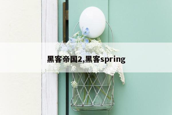 黑客帝国2,黑客spring