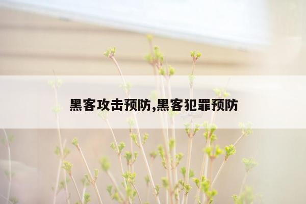 黑客攻击预防,黑客犯罪预防