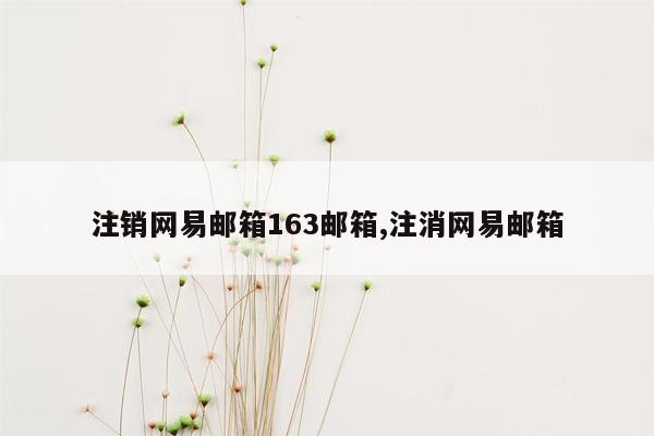 注销网易邮箱163邮箱,注消网易邮箱