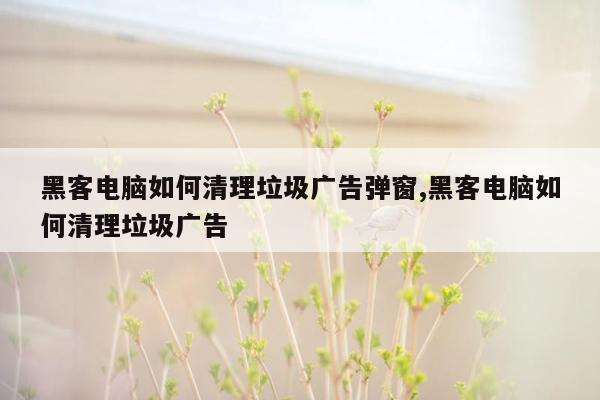 黑客电脑如何清理垃圾广告弹窗,黑客电脑如何清理垃圾广告