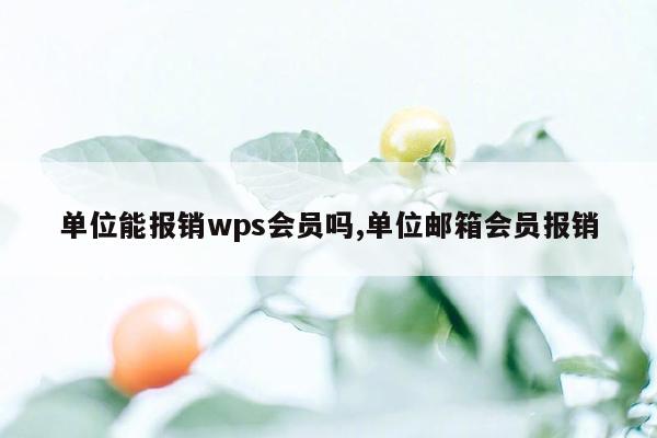 单位能报销wps会员吗,单位邮箱会员报销