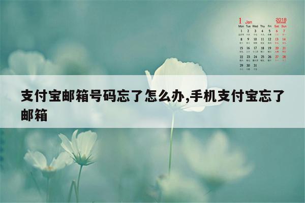 支付宝邮箱号码忘了怎么办,手机支付宝忘了邮箱