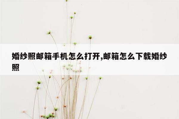 婚纱照邮箱手机怎么打开,邮箱怎么下载婚纱照