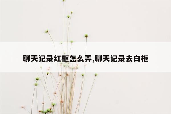 聊天记录红框怎么弄,聊天记录去白框