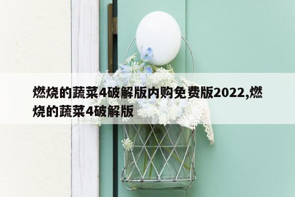 燃烧的蔬菜4破解版内购免费版2022,燃烧的蔬菜4破解版