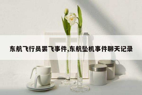 东航飞行员罢飞事件,东航坠机事件聊天记录