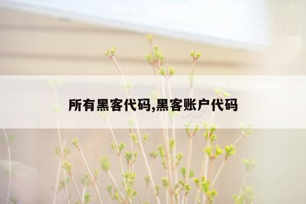 所有黑客代码,黑客账户代码