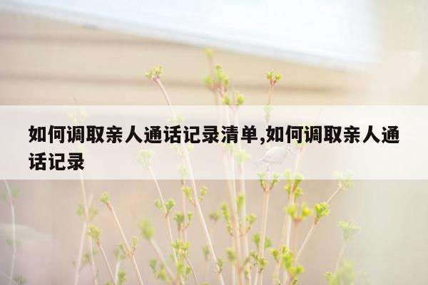 如何调取亲人通话记录清单,如何调取亲人通话记录