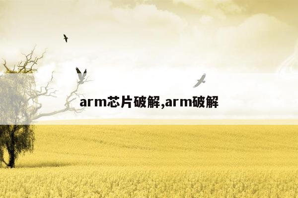 arm芯片破解,arm破解