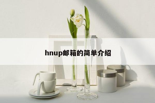 hnup邮箱的简单介绍