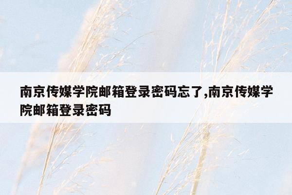 南京传媒学院邮箱登录密码忘了,南京传媒学院邮箱登录密码