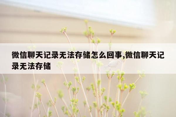 微信聊天记录无法存储怎么回事,微信聊天记录无法存储