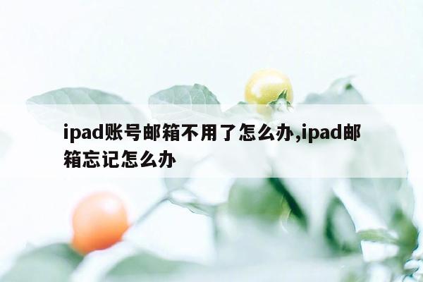 ipad账号邮箱不用了怎么办,ipad邮箱忘记怎么办