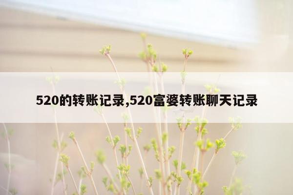 520的转账记录,520富婆转账聊天记录