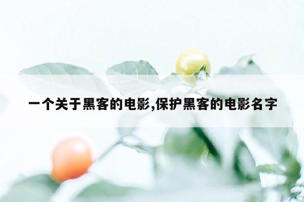 一个关于黑客的电影,保护黑客的电影名字