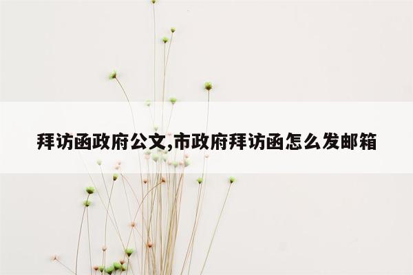 拜访函政府公文,市政府拜访函怎么发邮箱