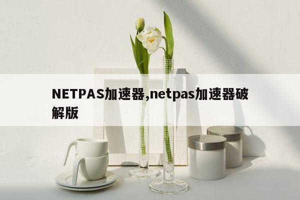 NETPAS加速器,netpas加速器破解版