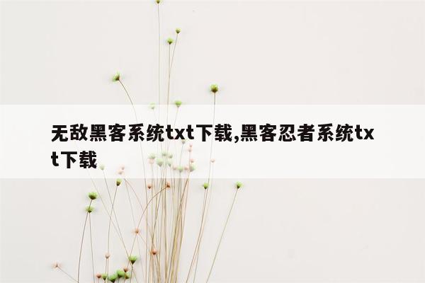 无敌黑客系统txt下载,黑客忍者系统txt下载