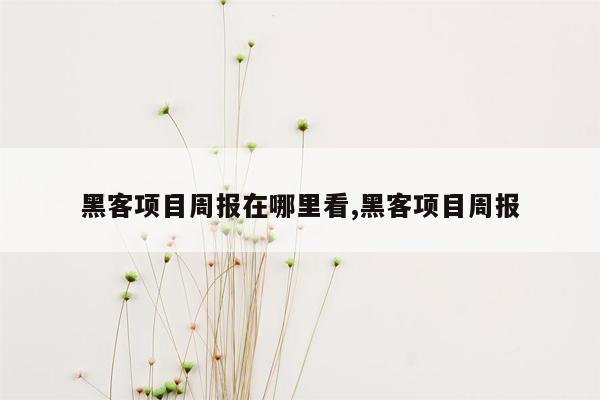 黑客项目周报在哪里看,黑客项目周报