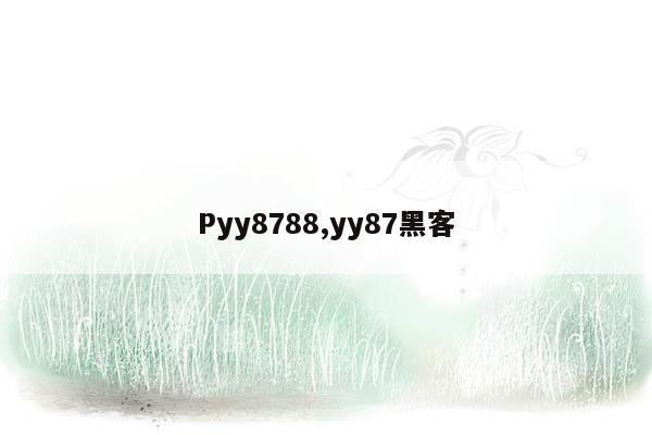 Pyy8788,yy87黑客