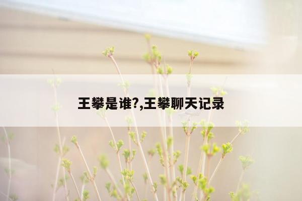 王攀是谁?,王攀聊天记录