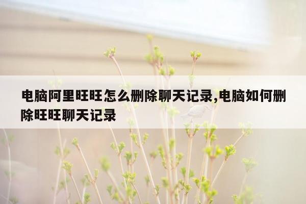 电脑阿里旺旺怎么删除聊天记录,电脑如何删除旺旺聊天记录