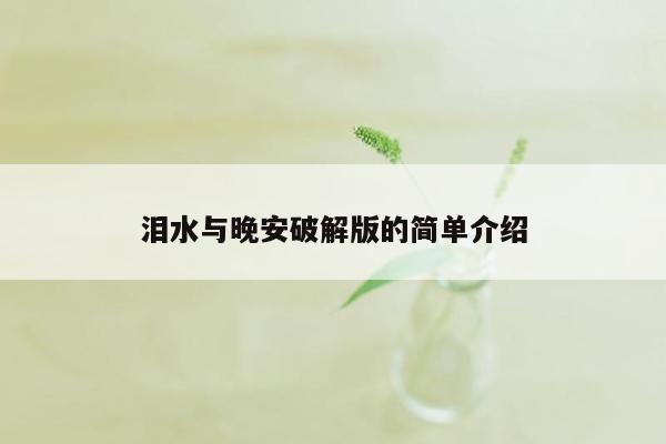 泪水与晚安破解版的简单介绍