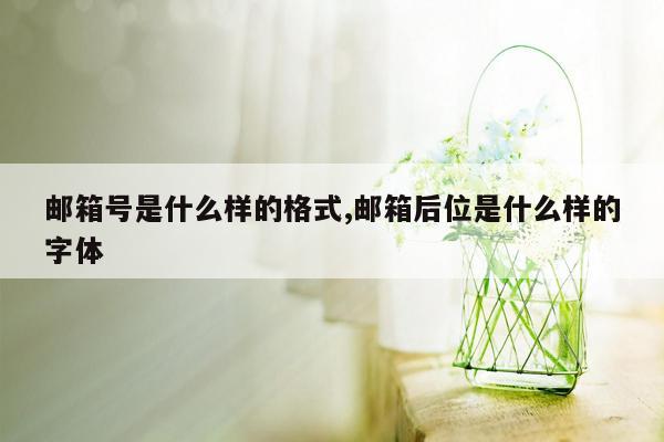 邮箱号是什么样的格式,邮箱后位是什么样的字体