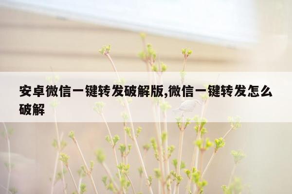 安卓微信一键转发破解版,微信一键转发怎么破解