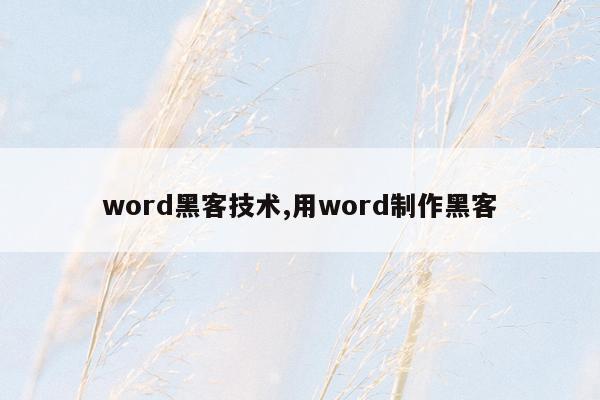word黑客技术,用word制作黑客