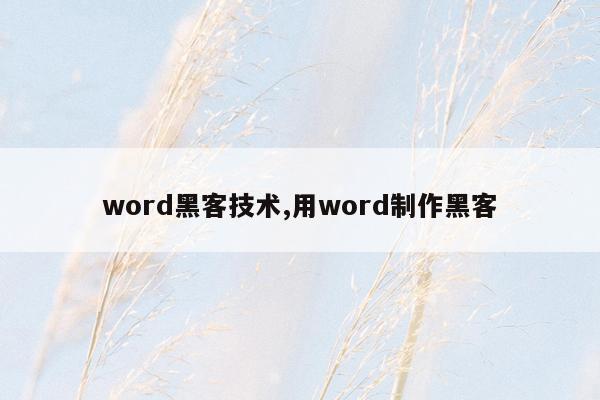 word黑客技术,用word制作黑客