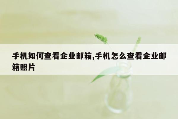 手机如何查看企业邮箱,手机怎么查看企业邮箱照片