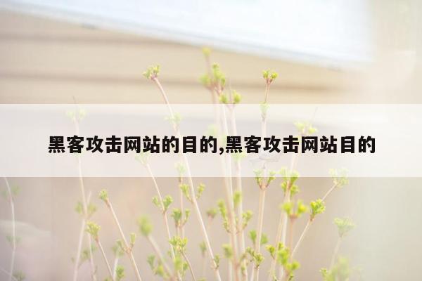 黑客攻击网站的目的,黑客攻击网站目的